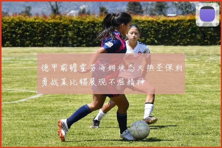 德甲前瞻霍芬海姆状态火热圣保利勇战莱比锡展现不屈精神